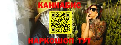 индика Можга