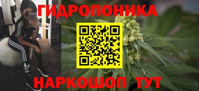индика Можга