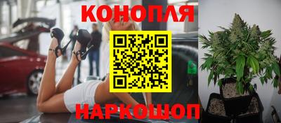 индика Можга