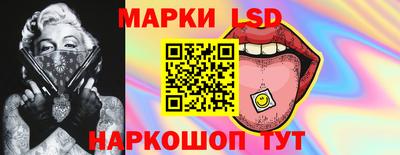 индика Можга
