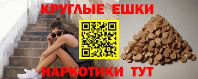 индика Можга